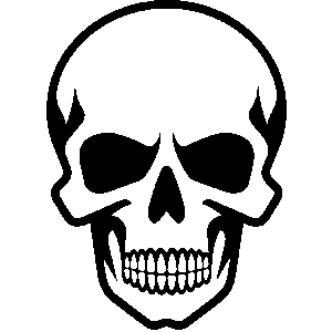 Skull art Vinyl Decal